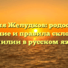 Фамилия Желудков: родословная, значение и правила склонения фамилии в русском языке
