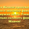 Фамилия Живин: происхождение, история и значение фамилии — все, что нужно знать. Узнайте, как правильно склонять фамилию Живин!