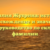 Фамилия Жубрина: история, происхождение и значения. Полное руководство по склонению фамилии