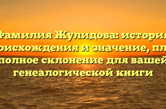 Фамилия Жулидова: история происхождения и значение, плюс полное склонение для вашей генеалогической книги