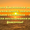Фамилия Какашкина: история происхождения, значения и правильное склонение — полный гид для исследования вашей фамилии!