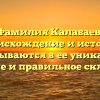 Фамилия Калабаев: происхождение и история складываются в ее уникальное значение и правильное склонение.