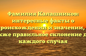 Фамилия Калашников: интересные факты о происхождении и значении, а также правильное склонение для каждого случая