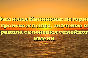 Фамилия Калинина: история происхождения, значение и правила склонения семейного имени