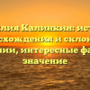 Фамилия Калинкин: история происхождения и склонения фамилии, интересные факты и значение