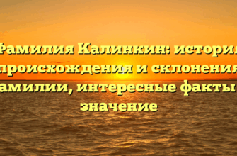Фамилия Калинкин: история происхождения и склонения фамилии, интересные факты и значение