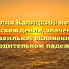 Фамилия Калицкий: история происхождения, значение и правильное склонение в родительном падеже