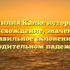 Фамилия Калю: история и происхождение, значение и правильное склонение в родительном падеже.