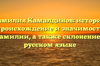 Фамилия Камалдинов: история, происхождение и значимость фамилии, а также склонение в русском языке