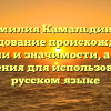 Фамилия Камальдинов: исследование происхождения, истории и значимости, а также склонения для использования в русском языке