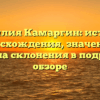 Фамилия Камаргин: история происхождения, значения и правила склонения в подробном обзоре