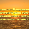 Фамилия Кандалина: исторический обзор происхождения и значения, правильное склонение