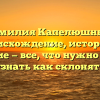 Фамилия Капелюшный: происхождение, история и значение — все, что нужно знать и узнать как склонять