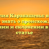 Фамилия Карабашевы: все, что нужно знать о происхождении, значении и склонении в одной статье