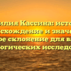 Фамилия Кассина: история, происхождение и значение, полное склонение для ваших генеалогических исследований