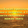 Фамилия Кахал: происхождение, история и значение, а также особенности склонения — все, что нужно знать