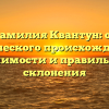 Фамилия Квантун: от исторического происхождения до значимости и правильного склонения