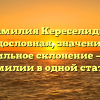 Фамилия Кереселидзе: родословная, значение и правильное склонение — все о фамилии в одной статье!