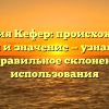 Фамилия Кефер: происхождение, история и значение — узнайте все о ней и правильное склонение для использования