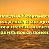 Фамилия Кибальчиш: происхождение и история этого редкого имени, значение и правильное склонение