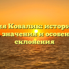 Фамилия Ковалик: исторический обзор, значения и особенности склонения
