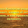 Фамилия Коллегов: откуда она происходит, какова её история и значение, и как правильно её склонять
