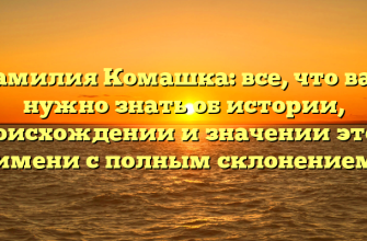 Фамилия Комашка: все, что вам нужно знать об истории, происхождении и значении этого имени с полным склонением
