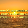Фамилия Комовский: все, что нужно знать о происхождении, истории и склонении