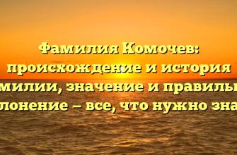 Фамилия Комочев: происхождение и история фамилии, значение и правильное склонение — все, что нужно знать