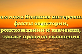 Фамилия Конаков: интересные факты об истории, происхождении и значении, а также правила склонения