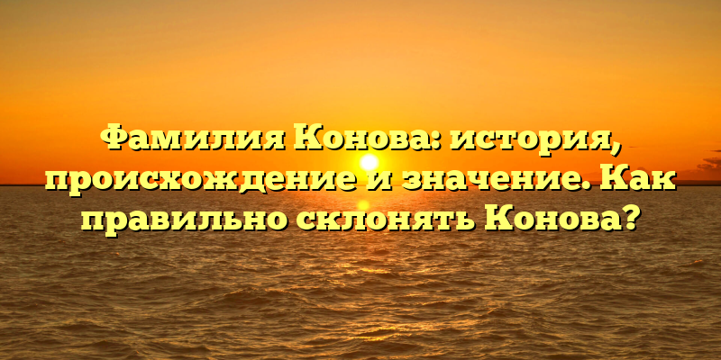 Фамилия Конова: история, происхождение и значение. Как правильно склонять Конова?