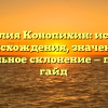 Фамилия Конопихин: история происхождения, значение и правильное склонение — полный гайд