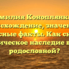 Фамилия Коноплянкин: происхождение, значение и интересные факты. Как склонять историческое наследие в своей родословной?
