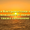 Фамилия Костромитина: история, происхождение и значение, а также склонение