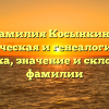 Фамилия Косынкина: историческая и генеалогическая справка, значение и склонение фамилии