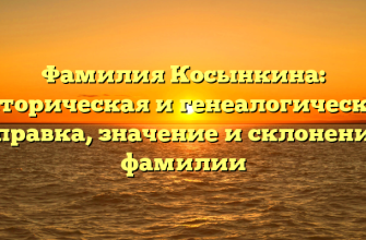 Фамилия Косынкина: историческая и генеалогическая справка, значение и склонение фамилии