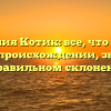 Фамилия Котик: все, что нужно знать о происхождении, значении и правильном склонении!