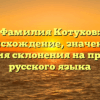 Фамилия Котухов: происхождение, значение и история склонения на примере русского языка