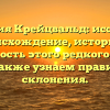 Фамилия Крейцвальд: исследуем происхождение, историю и значимость этого редкого имени, а также узнаем правила склонения.