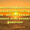 Фамилия Кружилина: происхождение, история и значение – всё, что нужно знать о склонении этой уникальной фамилии