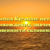 Фамилия Кугаппи: история происхождения, значение и особенности склонения.
