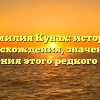Фамилия Кунах: история происхождения, значения и склонения этого редкого имени