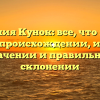 Фамилия Кунок: все, что нужно знать о происхождении, истории, значении и правильном склонении
