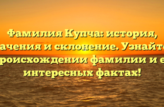 Фамилия Купча: история, значения и склонение. Узнайте о происхождении фамилии и ее интересных фактах!
