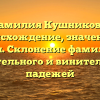 Фамилия Кушникова: происхождение, значение и история. Склонение фамилии для родительного и винительного падежей