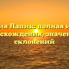 Фамилия Лапик: полная история происхождения, значения и склонений