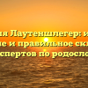 Фамилия Лаутеншлегер: история, значение и правильное склонение от экспертов по родословной
