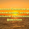 Фамилия Левинтов: все о происхождении, истории и правильном склонении этой фамилии