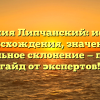 Фамилия Липчанский: история происхождения, значение и правильное склонение — полный гайд от экспертов!