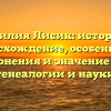 Фамилия Лисик: история и происхождение, особенности склонения и значение для генеалогии и науки